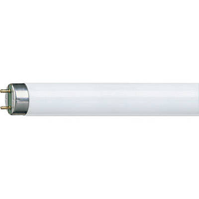 PHILIPS Świetlówka liniowa T8 trzonek G13 4000K 2400lm Master TL-D Super80 30W/840